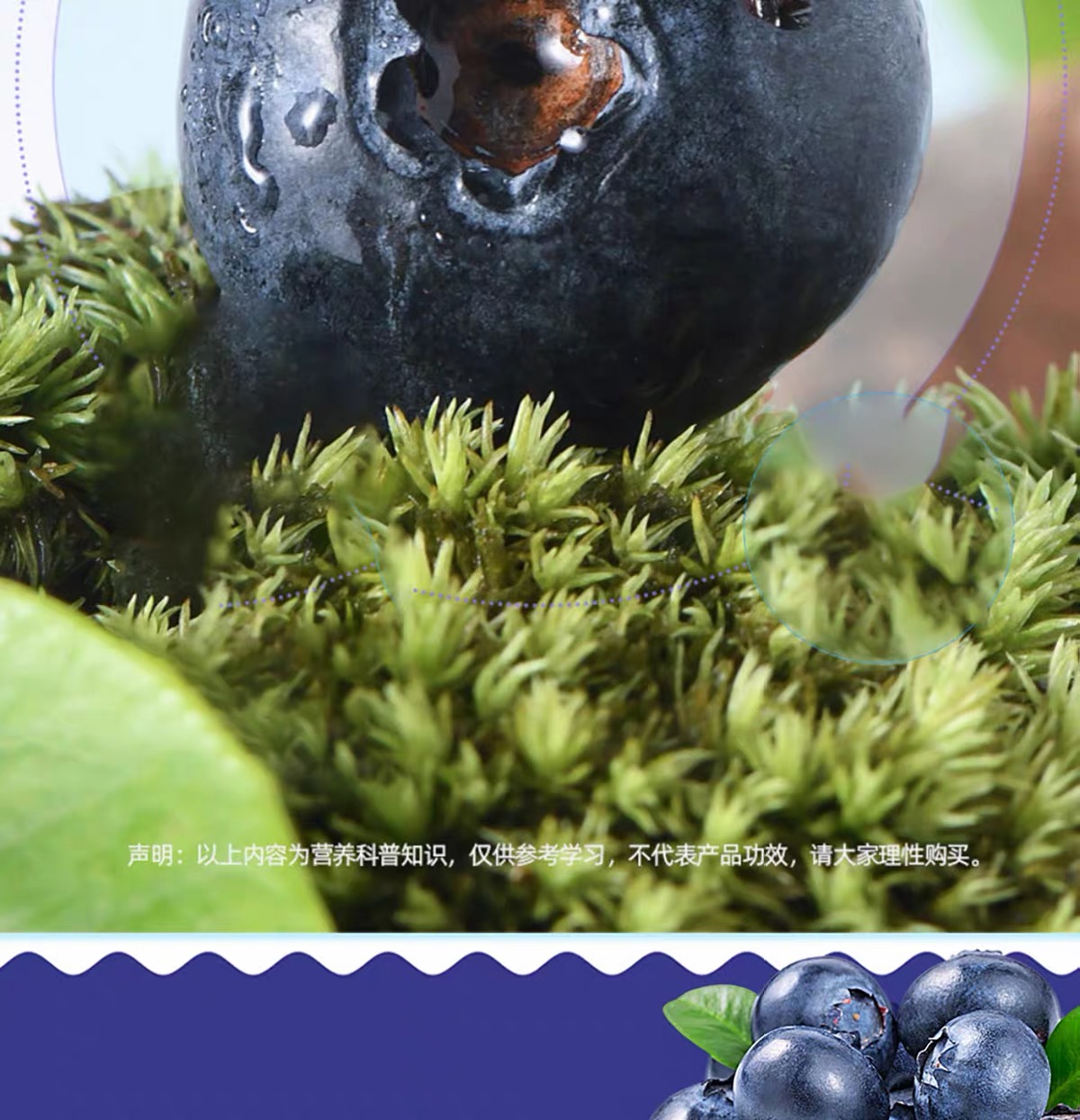 蓝莓莓烦恼