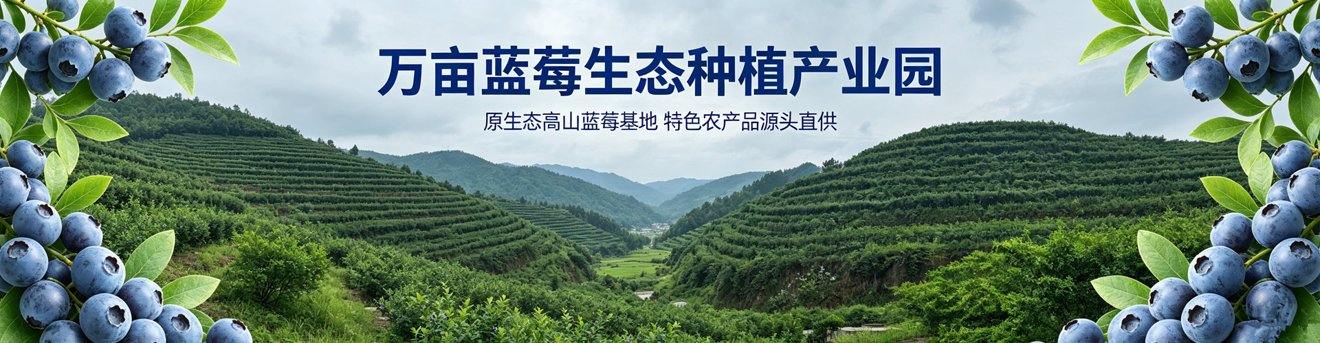 盛世唐寨